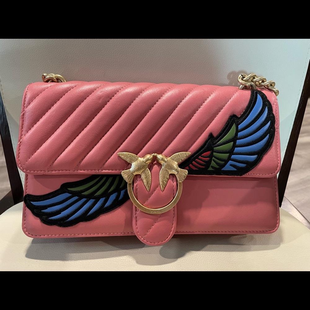 Pinko bag sold